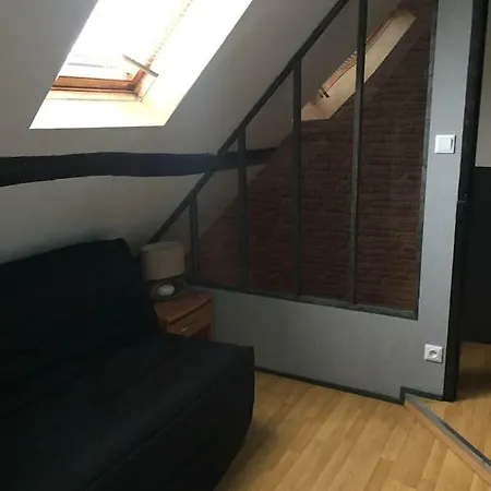 T3 Duplex Industriel Hyper Centre Ville Historique Troyes
